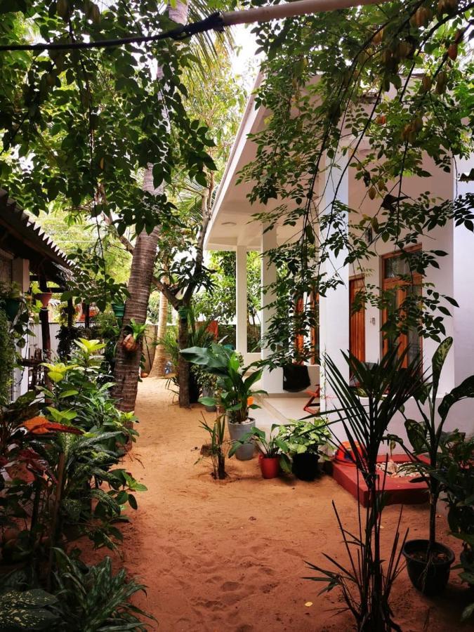 Tropicana Home Stay Arugam Bay Bagian luar foto