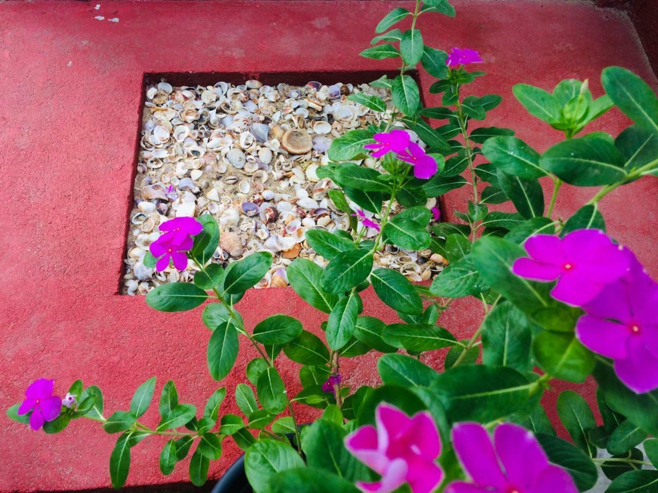 Tropicana Home Stay Arugam Bay Bagian luar foto