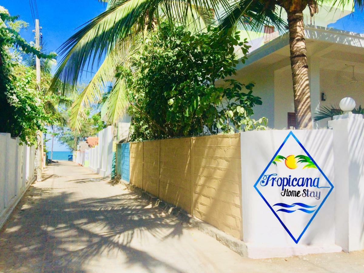Tropicana Home Stay Arugam Bay Bagian luar foto